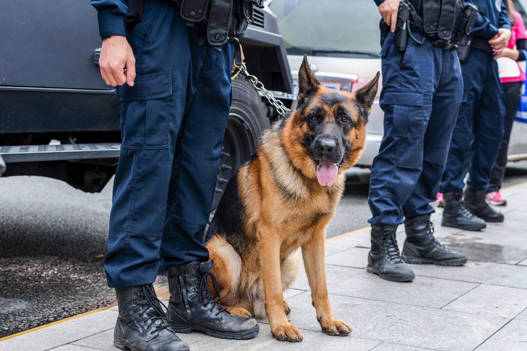 Police dog with his master