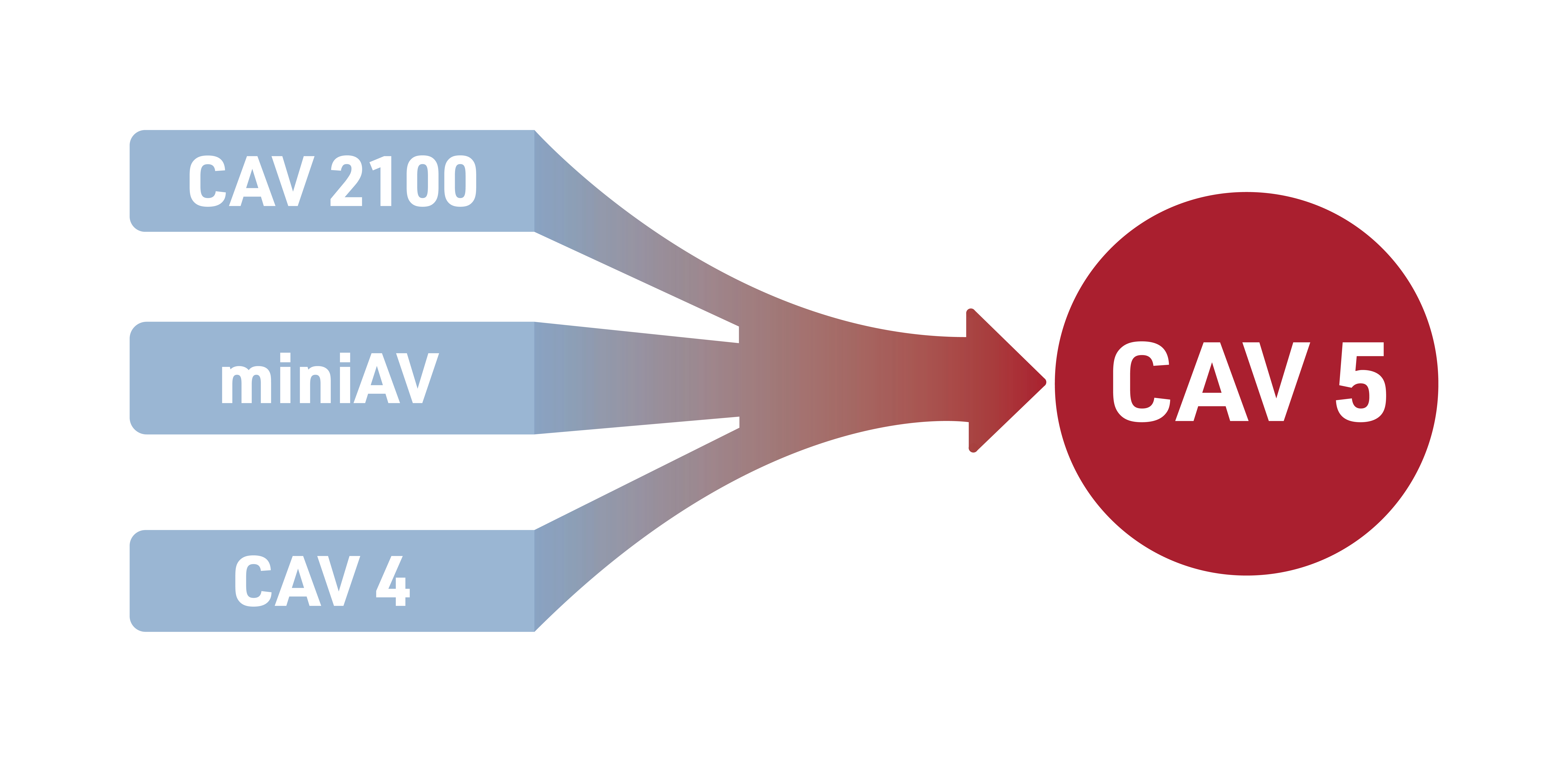 CAV 5 Family | One Platform. Any Sample. Total Control.